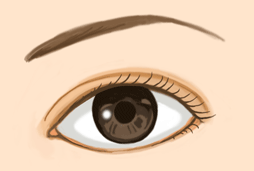 並行型(平行型)の二重まぶた